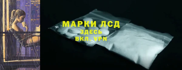 хмурый Аркадак