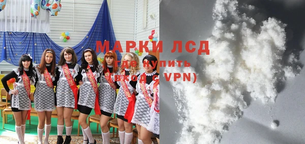 хмурый Аркадак