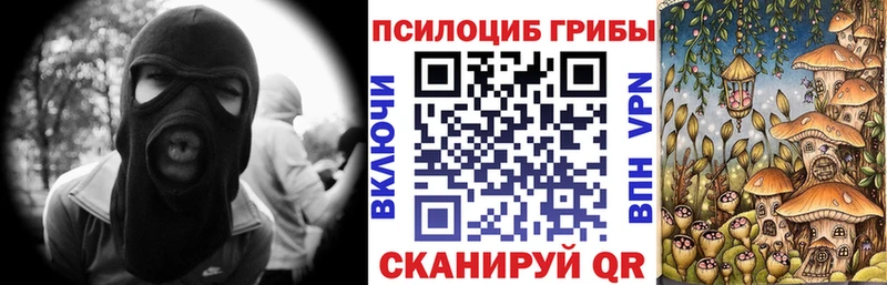 Галлюциногенные грибы MAGIC MUSHROOMS  kraken   Сусуман 