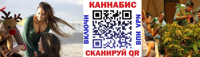 Бошки Шишки Amnesia Сусуман