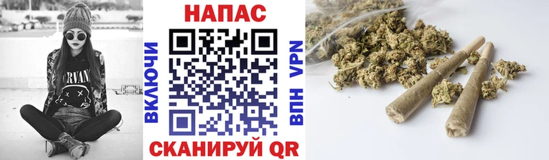 Конопля THC 21%  где купить наркоту  Сусуман 